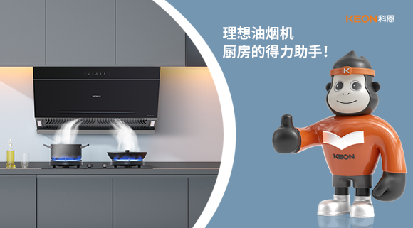 理想油煙機(jī)：廚房的得力助手！